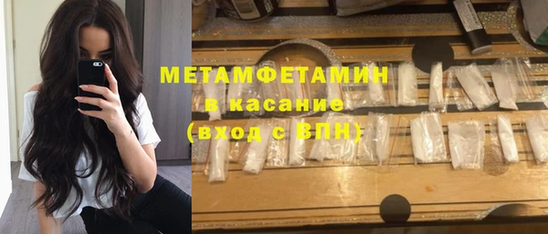 гидра Богданович