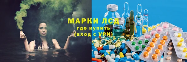 гидра Богданович