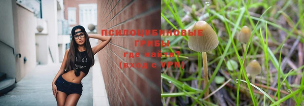 гидра Богданович