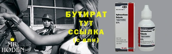гидра Богданович