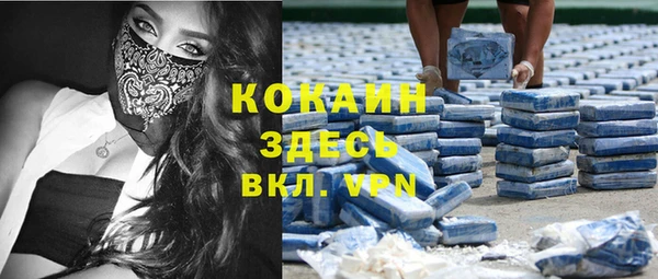 гидра Богданович