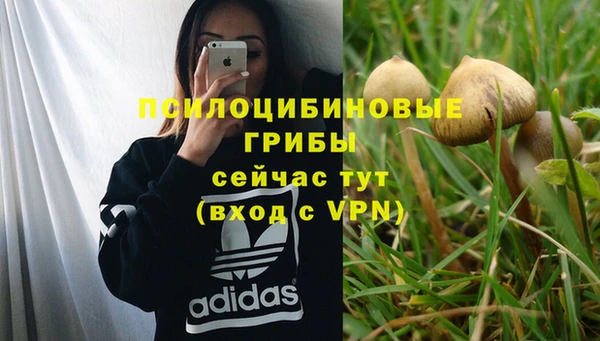 мет Богородицк