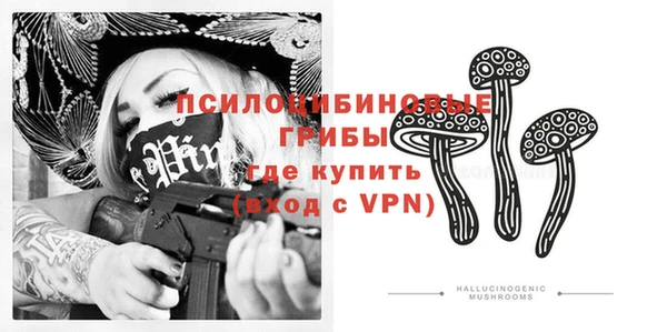гидра Богданович