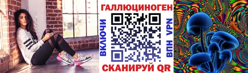 Псилоцибиновые грибы Psilocybe Берёзовка