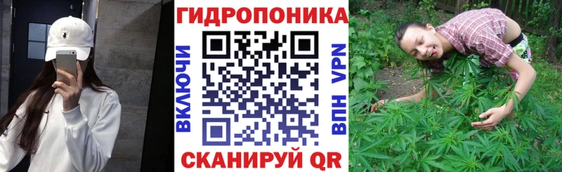 Марихуана Amnesia Берёзовка